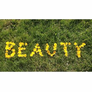 Beauty