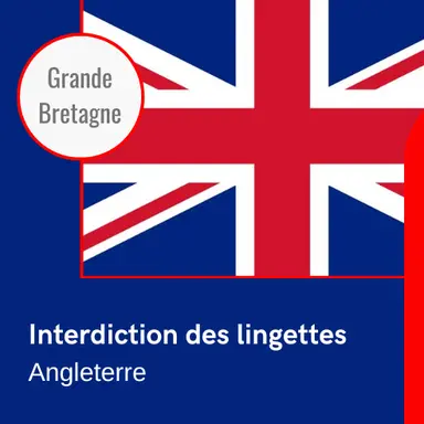 L'Angleterre interdit les lingettes contenant du plastique