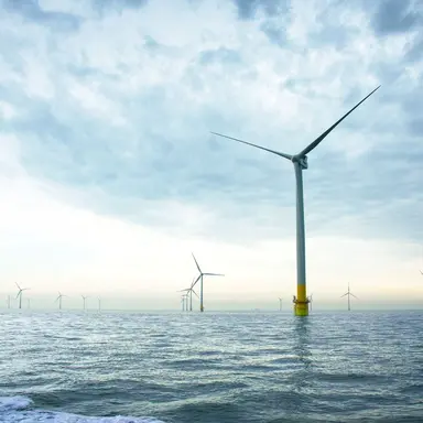 BASF achète la moitié d'un parc éolien maritime