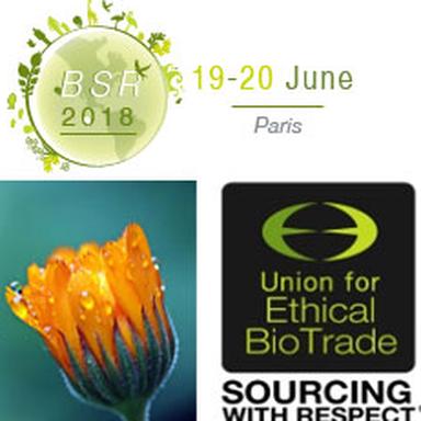 Logos UEBT et BSR 2018