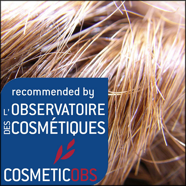 A selection of cosmetic products for dry hair