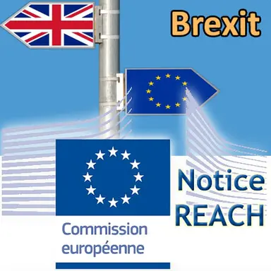 Brexit : les impacts sur REACH