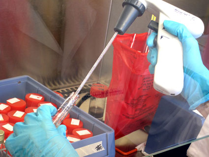 Au bout de 7 jours, à l'aide d'une pipette, un prélèvement d'un gramme est effectué manuellement...