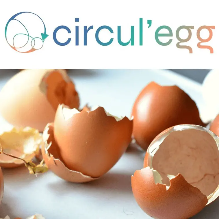 Circul’Egg part à la conquête de l’industrie cosmétique