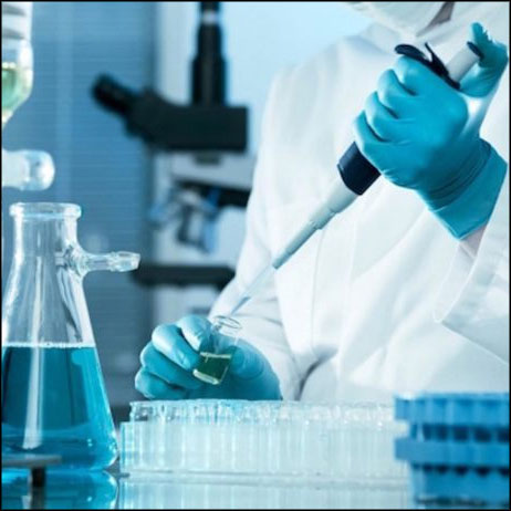 Lancement de PEPPER, une plateforme pour développer la recherche sur les perturbateurs endocriniens