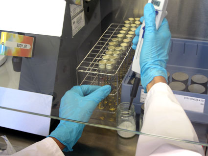 À l'aide d'une pipette...