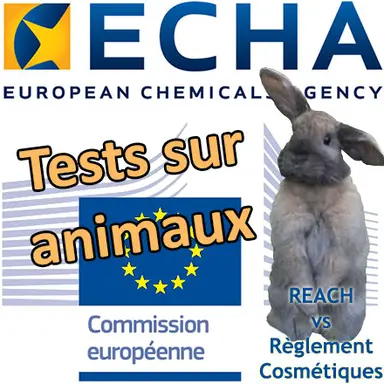 REACH : Des tests sur animaux justifiés pour des ingrédients uniquement cosmétiques