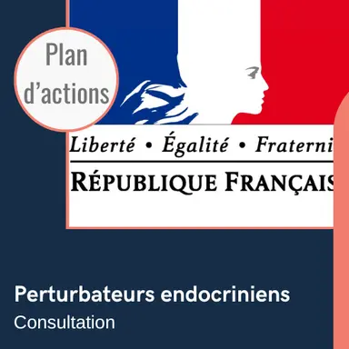 La France consulte sur ses priorités pour les perturbateurs endocriniens