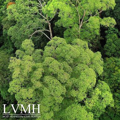 LVMH : en marche vers le développement durable