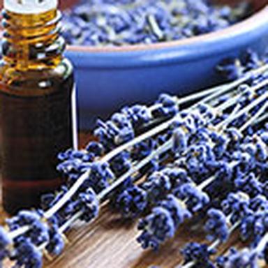 © CosmeticOBS - L'Observatoire des Cosmétiques