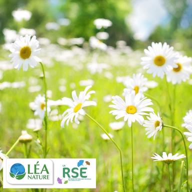 RSE : les engagements de Léa Nature