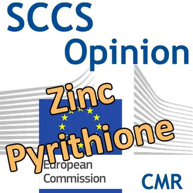 Zinc pyrithione : Opinion du CSSC
