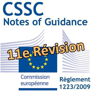 Évaluation de la sécurité : 11e révision des lignes directrices du CSSC