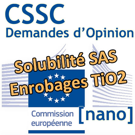 Logo Commission européenne - Demande CSSC SAS TiO2