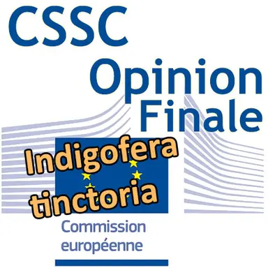 Indigofera tinctoria : Opinion finale du CSSC