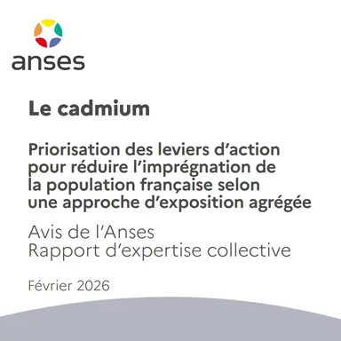 Surexposition au cadmium : les cosmétiques comptent... vraiment très peu