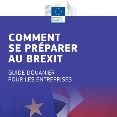 Brexit, douanes et TVA : un guide de la Commission européenne