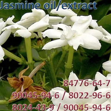 Jasmine oil/extract