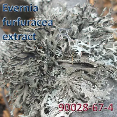 Evernia furfuracea extract