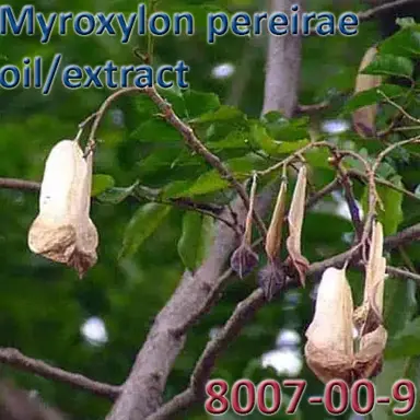 Myroxylon pereirae oil/extract