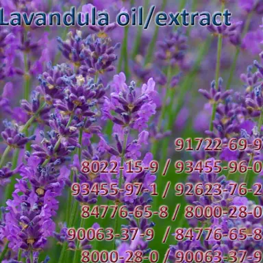 Lavandula oil/extract