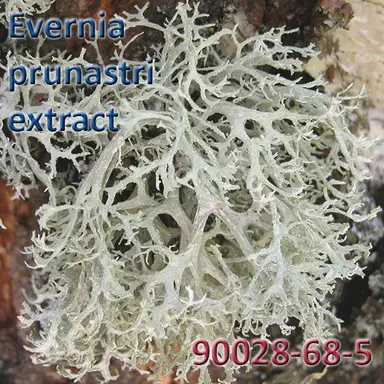 Evernia prunastri extract