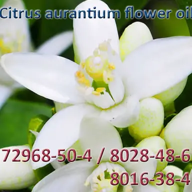 Citrus aurantium flower oil