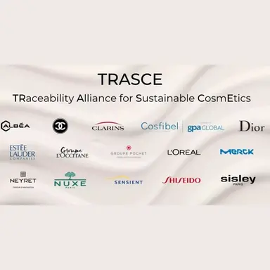L'industrie cosmétique se mobilise pour améliorer la traçabilité des chaînes d'approvisionnement