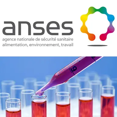 Logo Anses