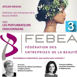 Atelier presse de la FEBEA sur les perturbateurs endocriniens