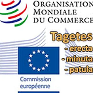 © CosmeticOBS-L'Observatoire des Cosmétiques