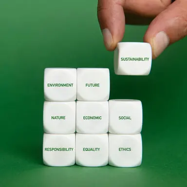 Les Français et l'engagement écologique