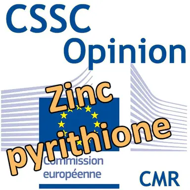 Zinc pyrithione : Opinion du CSSC