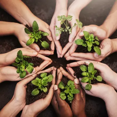 Crise environnementale : des jeunes pas si engagés