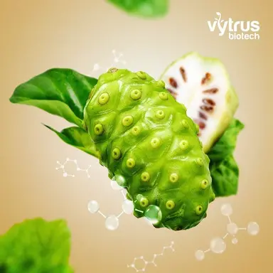 Deobiome noni : l'actif déodorant qui respecte le microbiote