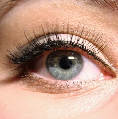 Cils