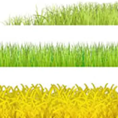123rf.com