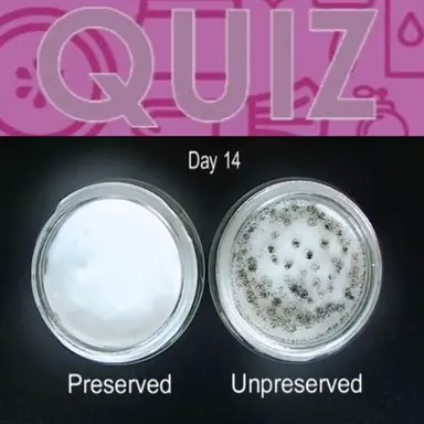 Quiz sur les conservateurs