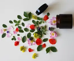 Cosmétiques bio