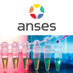 L'ANSES publie une pré-liste de perturbateurs endocriniens