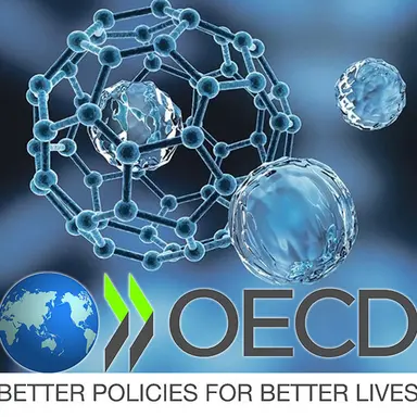 Nanomatériaux : deux publications de l'OCDE