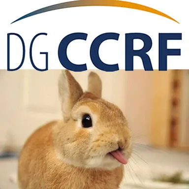 Plus de mention "Non testé sur animaux" sur les cosmétiques !