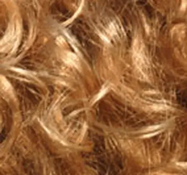 ©John Foxx-Thinkstock