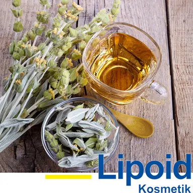 Mountain Tea Pro de Lipoid Kosmetik : l'actif qui régénère la peau durant la nuit