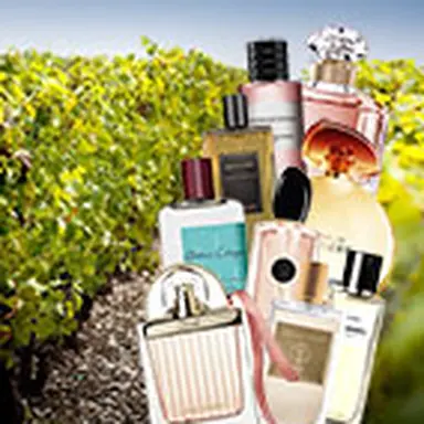 © CosmeticOBS-L'Observatoire des Cosmétiques