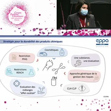 La stratégie chimique de l'UE et ses impacts sur les cosmétiques (2/2)