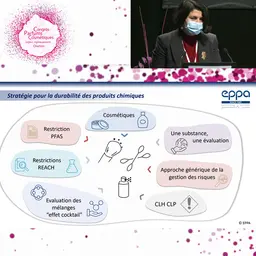 La stratégie chimique de l'UE et ses impacts sur les cosmétiques (2/2)