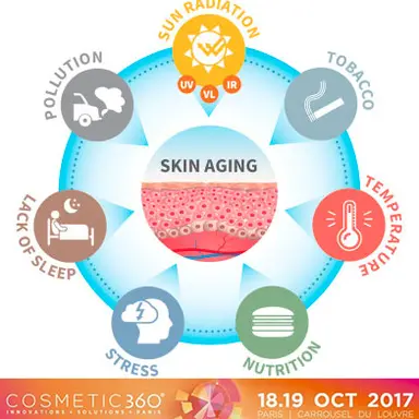 Représentation des facteurs de l'exposome