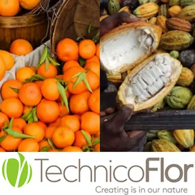 Technicoflor lance une collection de parfums upcyclés