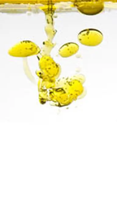 © Filipe Varela - fotolia.com